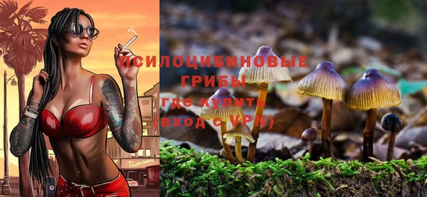 ECSTASY Балабаново