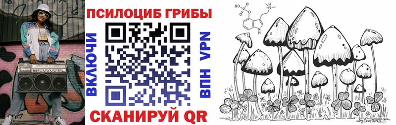 гидра вход  купить наркотик  Щёлкино  Галлюциногенные грибы Magic Shrooms 